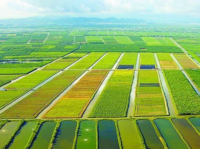 2020非洲食品机KAIYUN械产业市场需求及发展趋势分析(图3)