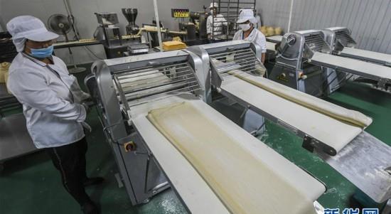 河北安平：高端食品机械制造受KAIYUN欢迎(图1)