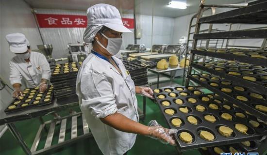 河北安平：高端食品机械制造受KAIYUN欢迎(图2)