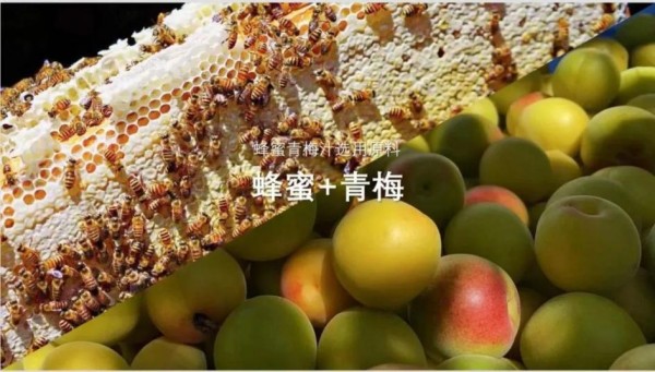 用智能机械手臂制作咖啡尚饮i店24小时AI智能饮吧亮相进博会(图6)