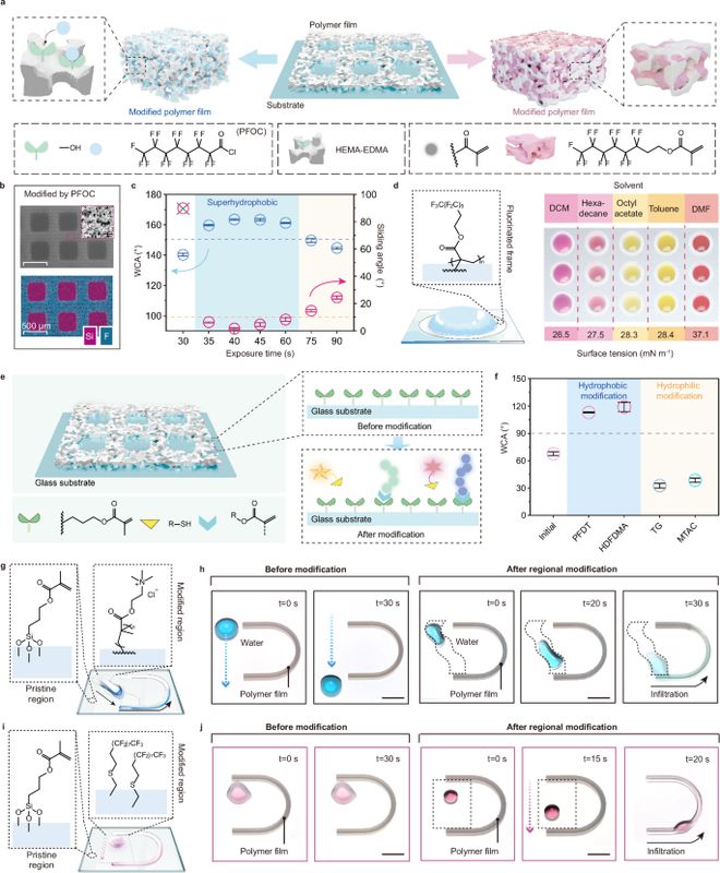 四川大学冯文骞研究员《自然·通讯》：聚合物的印刷平台赋能机器辅助堆叠液滴中的化学合成开云kaiyun官网(图3)