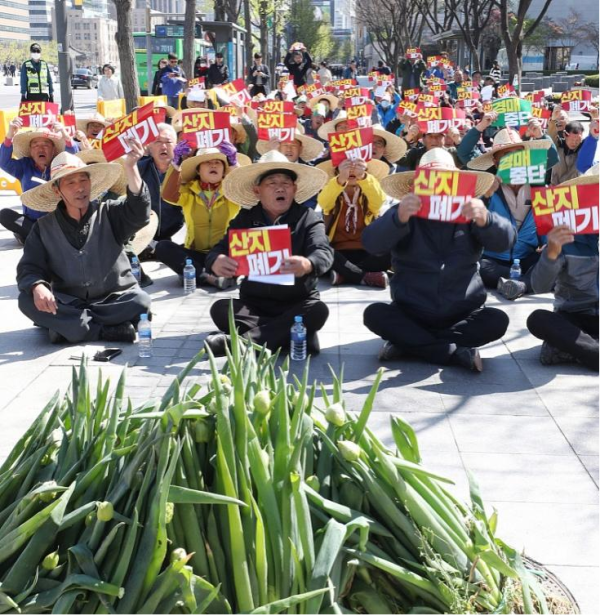 大白菜在韩国不仅仅是做泡菜还事关民生、国体、政局……-常洛闻(图5)