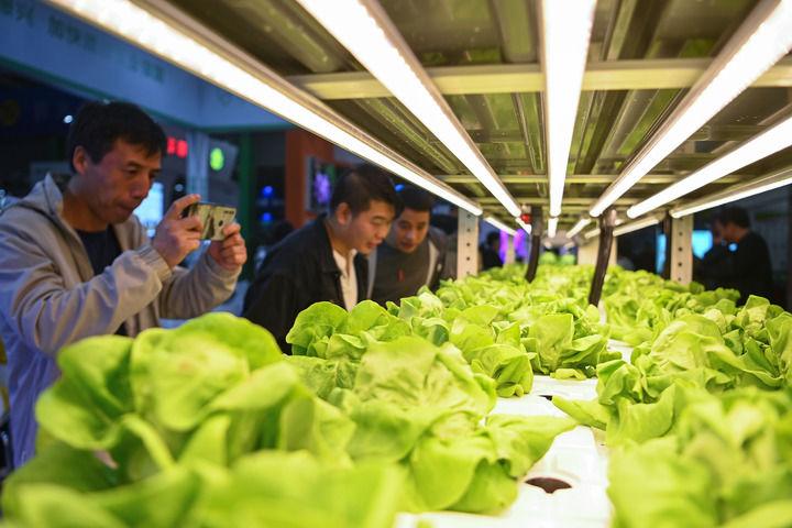融入开放战略 共绘繁荣图景——西部开放型经济创新发展观察(图6)