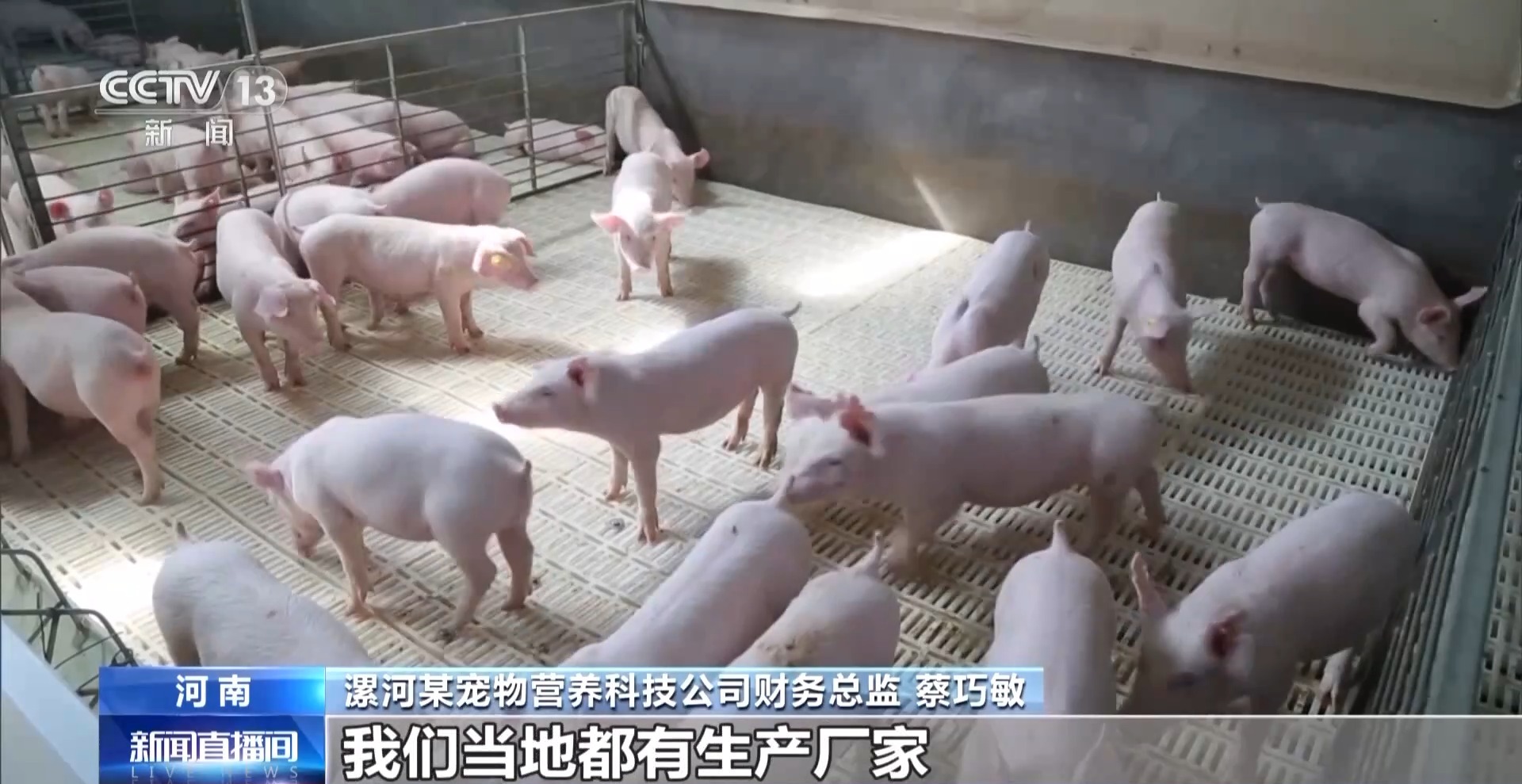 映象新闻(图4) 映象新闻(图4)