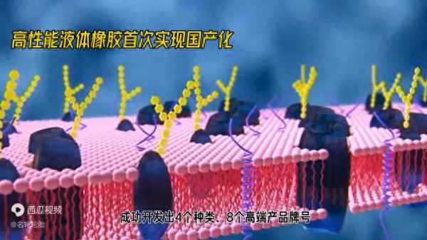 KAIYUN网页 开云com高性能轮胎和普通轮胎的区别、性能和普通有什么区别(图1) KAIYUN网页 开云com高性能轮胎和普通轮胎的区别、性能和普通有什么区别(图1)