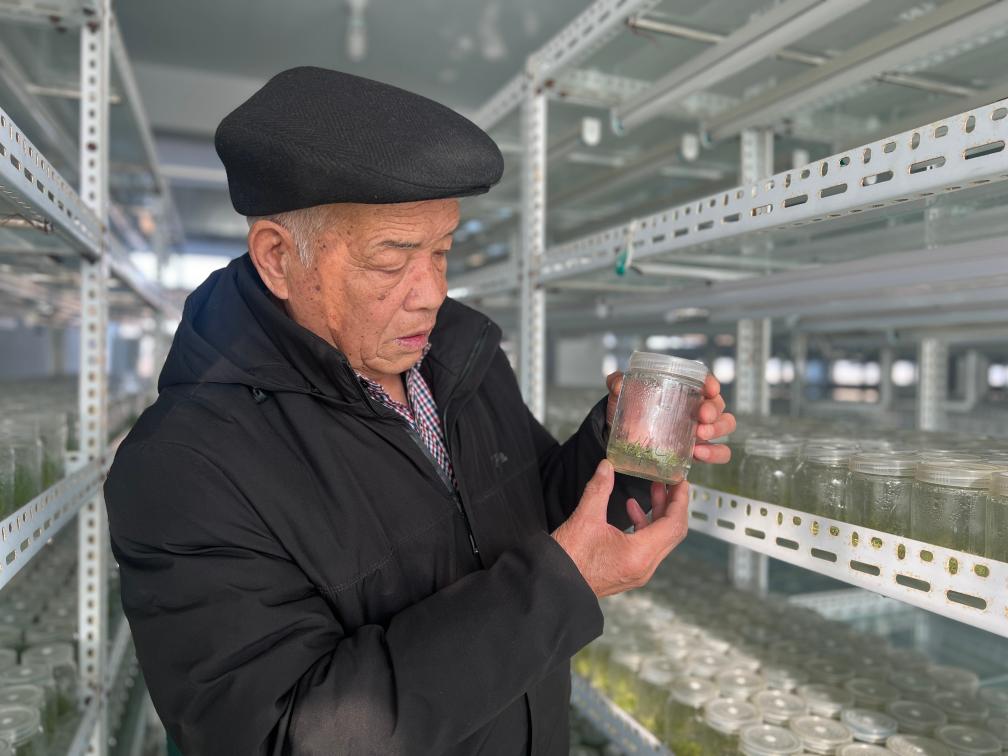 Kaiyun网址 开云新春走基层·黄土地上的“大食物”丨一颗土豆的全产业链“革命”(图1) Kaiyun网址 开云新春走基层·黄土地上的“大食物”丨一颗土豆的全产业链“革命”(图1)