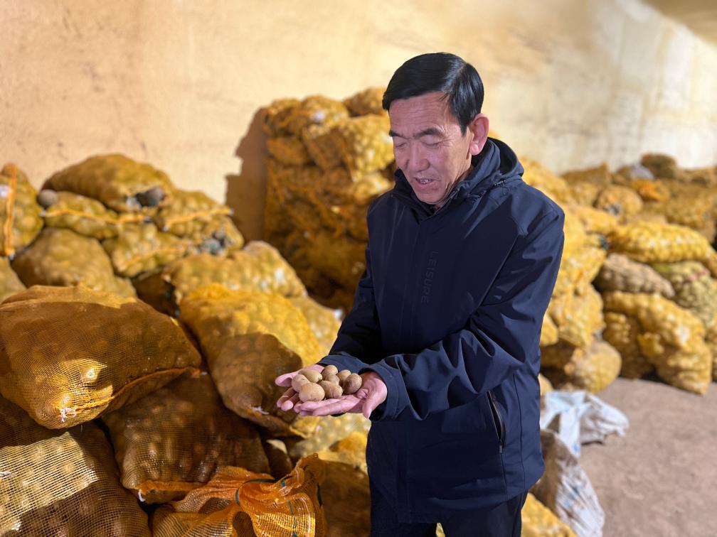 Kaiyun网址 开云新春走基层·黄土地上的“大食物”丨一颗土豆的全产业链“革命”(图2) Kaiyun网址 开云新春走基层·黄土地上的“大食物”丨一颗土豆的全产业链“革命”(图2)