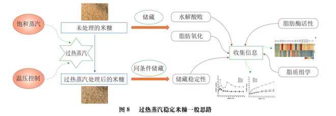 《食品科学》非热加工专栏:江苏大学邹小波、石吉勇教授等:米糠非热稳定化处理技术研究进展Kaiyun网址 开云(图10) 《食品科学》非热加工专栏:江苏大学邹小波、石吉勇教授等:米糠非热稳定化处理技术研究进展Kaiyun网址 开云(图10)