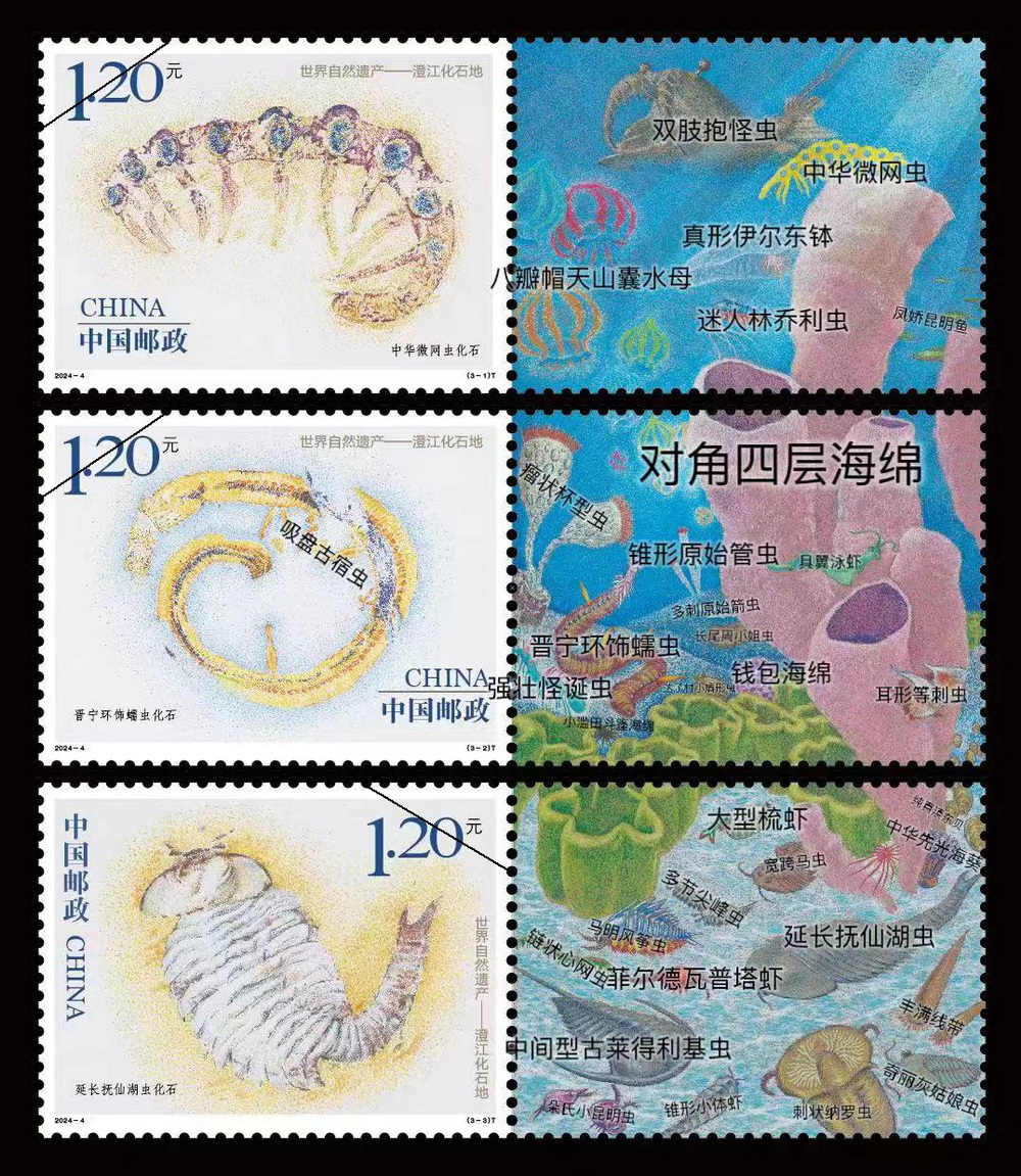 原艺珊：说说《世界自然遗产——澄江化石地》邮票的设计(图1)