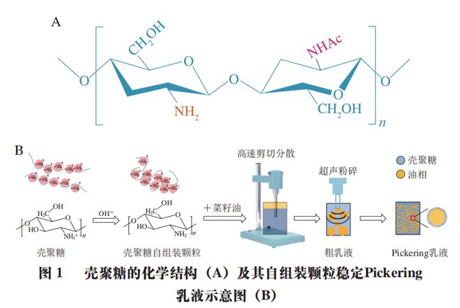 《食品科学》:天津商业大学吴子健教授、王立敏博士等:壳聚糖基Pickering乳液及其在食品中的应用(图1) 《食品科学》:天津商业大学吴子健教授、王立敏博士等:壳聚糖基Pickering乳液及其在食品中的应用(图1)