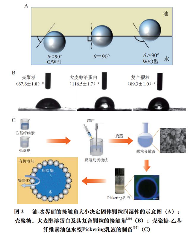 《食品科学》:天津商业大学吴子健教授、王立敏博士等:壳聚糖基Pickering乳液及其在食品中的应用(图2) 《食品科学》:天津商业大学吴子健教授、王立敏博士等:壳聚糖基Pickering乳液及其在食品中的应用(图2)
