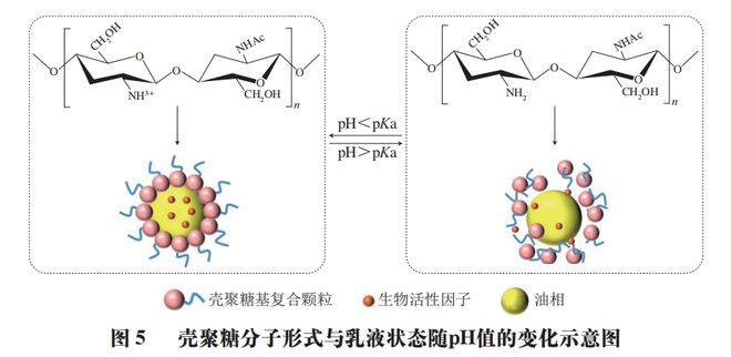 《食品科学》:天津商业大学吴子健教授、王立敏博士等:壳聚糖基Pickering乳液及其在食品中的应用(图6) 《食品科学》:天津商业大学吴子健教授、王立敏博士等:壳聚糖基Pickering乳液及其在食品中的应用(图6)