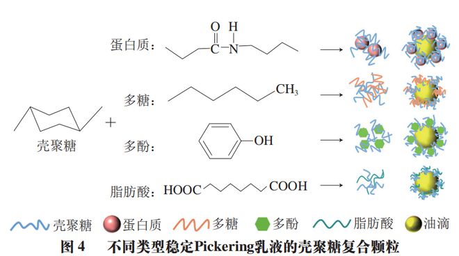《食品科学》:天津商业大学吴子健教授、王立敏博士等:壳聚糖基Pickering乳液及其在食品中的应用(图5) 《食品科学》:天津商业大学吴子健教授、王立敏博士等:壳聚糖基Pickering乳液及其在食品中的应用(图5)