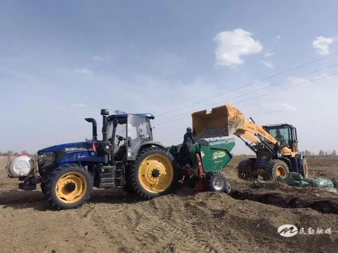 【“三抓三促”看行动】民勤县蔡旗镇:种好小土豆 收获振兴乡村大金豆(图2) 【“三抓三促”看行动】民勤县蔡旗镇:种好小土豆 收获振兴乡村大金豆(图2)