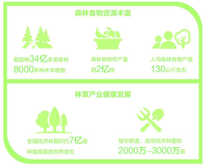 紫苏油、椴树蜜、大叶芹……这些森林食品你品尝过吗?(图1) 紫苏油、椴树蜜、大叶芹……这些森林食品你品尝过吗?(图1)