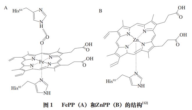 《食品科学》:东北农业大学孔保华教授等:锌原卟啉形成和呈色机理及替代肉制品中亚硝酸盐的研究进展(图2) 《食品科学》:东北农业大学孔保华教授等:锌原卟啉形成和呈色机理及替代肉制品中亚硝酸盐的研究进展(图2)