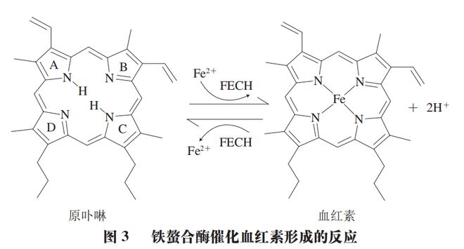 《食品科学》:东北农业大学孔保华教授等:锌原卟啉形成和呈色机理及替代肉制品中亚硝酸盐的研究进展(图6) 《食品科学》:东北农业大学孔保华教授等:锌原卟啉形成和呈色机理及替代肉制品中亚硝酸盐的研究进展(图6)