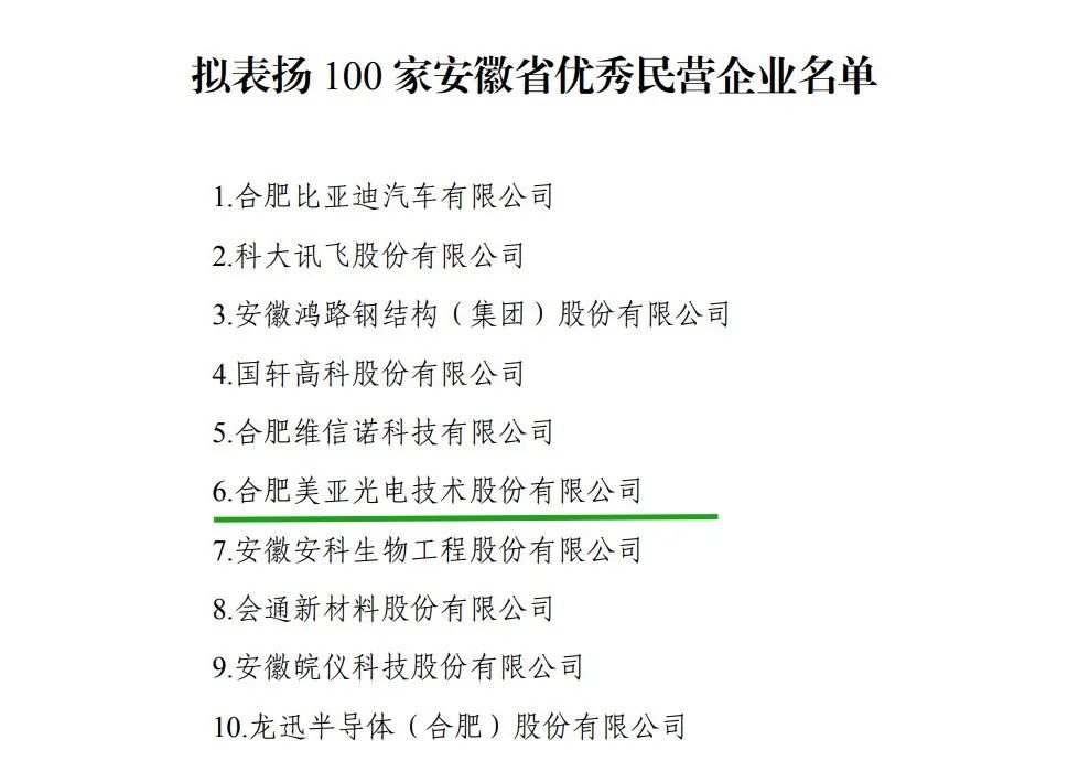 美亚光电再度荣获“安徽省优秀民营企业”kaiyun开云官网称号！(图1)