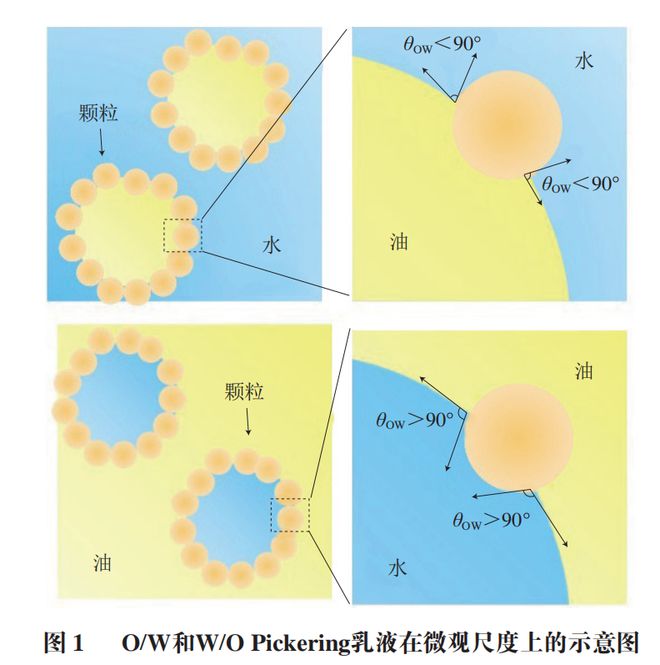 《食品科学》:仲恺农业工程学院魏先领副教授等:多酚-多糖复合物在食品级Pickering乳液中的应用进展kaiyun中国平台(图3) 《食品科学》:仲恺农业工程学院魏先领副教授等:多酚-多糖复合物在食品级Pickering乳液中的应用进展kaiyun中国平台(图3)