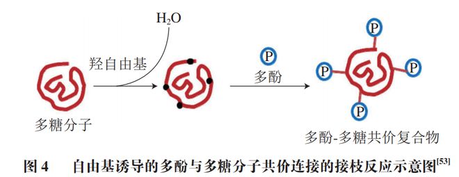 《食品科学》:仲恺农业工程学院魏先领副教授等:多酚-多糖复合物在食品级Pickering乳液中的应用进展kaiyun中国平台(图7) 《食品科学》:仲恺农业工程学院魏先领副教授等:多酚-多糖复合物在食品级Pickering乳液中的应用进展kaiyun中国平台(图7)