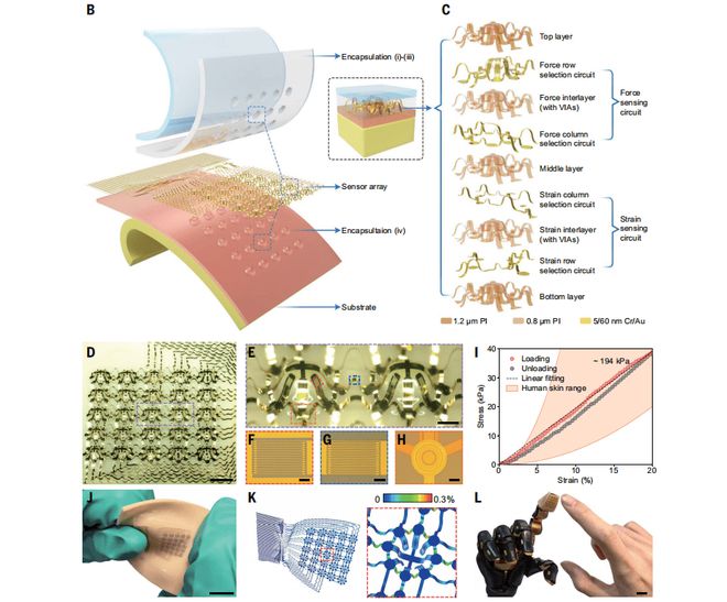 kaiyun开云·官方网站Science 填补领域空白！3D电子皮肤实现机械刺激的解耦感知(图2)