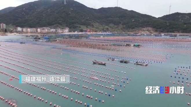 kaiyun官网开云万亿之城！央视报道福州！(图12)