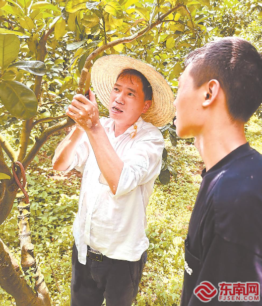 深读 劳模:用匠心行动助企助村(图1) 深读 劳模:用匠心行动助企助村(图1)